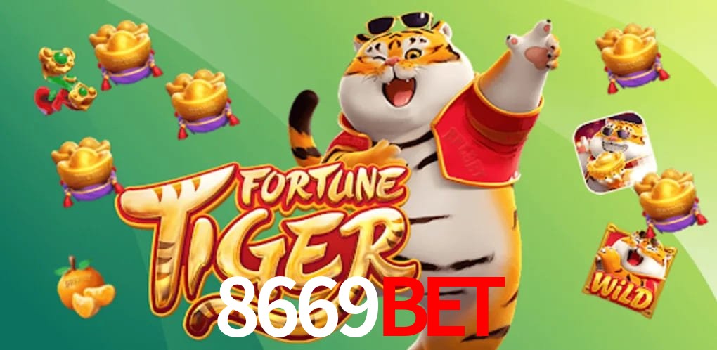 Experiência VIP 8669bet