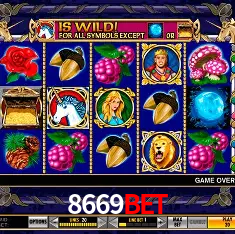 Descubra o Mundo do Cassino Online com 8669bet
